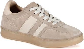 Diba JON QWILL Lace Up Suede Sneaker in Taupe/bone at Nordstrom, Size 9.5