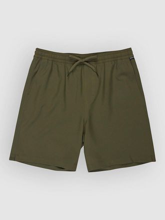 Quiksilver Taxer Amphibian 18 Boardshorts groen