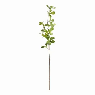 Napa Home & Garden Shady Green Plastic Lady Black Olive Stems 28 Set of 4 at Nordstrom