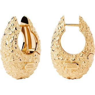 PD Paola Marina Hoops in Gold at Nordstrom