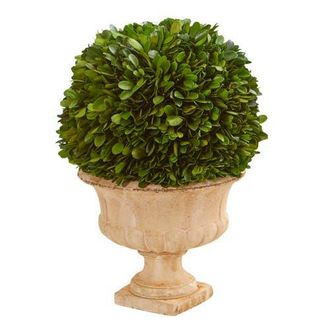 Nearly Natural 12-in Boxwood Topiary Ball Preserved Plant in Decorative Urn in Green at Nordstrom