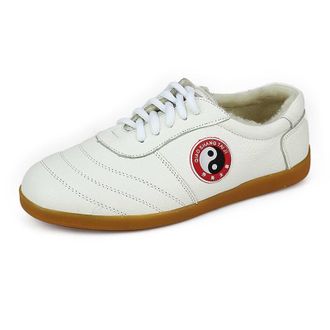 Generic Taekwondo Shoes, Adults Breathable Non-Slip Sport,Lightweight, for Boxing, Kung Fu, Karate and Taichi(White,9.5 UK)