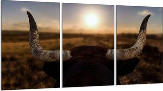 OEM Placa Protectora De Vidrio Para Estufa 3x30x52