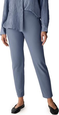 Eileen Fisher Slim Ankle Pants in Flint at Nordstrom, Size X-Large
