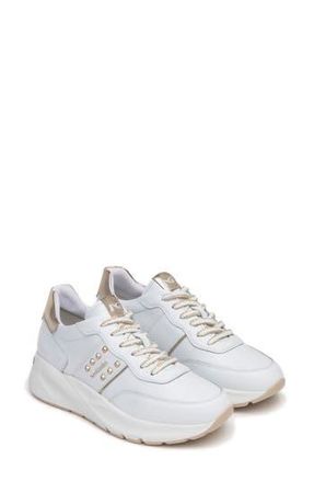 Nero Giardini Studded Retro Sneaker in White at Nordstrom Rack, Size 10Us / 40Eu