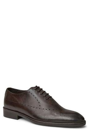 Bruno Magli Ansel Wholecut Oxford in Brown at Nordstrom Rack, Size 11.5