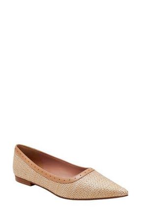 Linea Paolo Newport Pointed Toe Flat in Tan/desert at Nordstrom Rack, Size 8.5