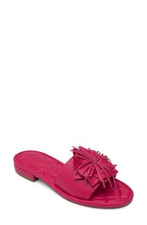 Aerosoles Begonia Sandal in Magenta at Nordstrom Rack, Size 6.5