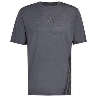 ADIDAS TERREX XPR Tee Funktionsshirt f&uuml;r Herren | blau/grau