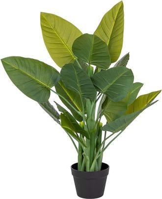 Wanderlust Deco Suculenta Decorativa Artificial Verde 40x30x88
