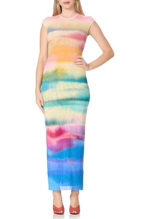 AFRM Mylo Print Mesh Maxi Dress in Summer Sunset at Nordstrom, Size X-Small