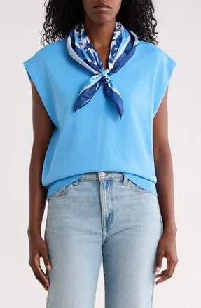 Nicole Miller V-Neck Sweater in Light Blue/Scarf Print at Nordstrom Rack, Size X-Large