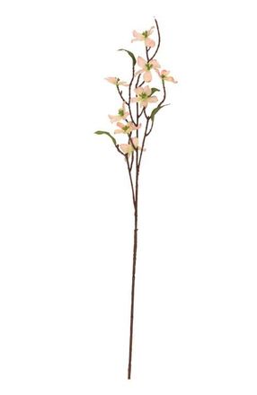 Mark Roberts Mini Dogwood Spray, Set of 12 in Light Pink at Nordstrom