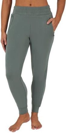 Yogalicious SoftLite District Sandwashed Joggers in Rustic Thyme at Nordstrom Rack, Size X-Large