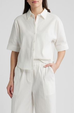 Bernardo Texture Dolman Shirt in Gardenia at Nordstrom, Size X-Small