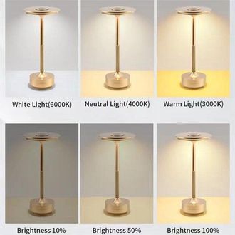 OEM L&aacute;mpara De Mesa Inal&aacute;mbrica, L&aacute;mpara De Escritorio Led Recargable Con Regulador De Intensidad, La Oficina, La Cocina O El Dormitorio (plateada)