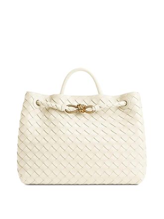 Bottega Veneta Andiamo Medium Leather Bag