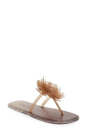 Farm Rio Flower Jelly Flip Flop in Toffee And Walnut at Nordstrom, Size 10