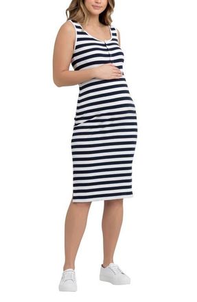 Ripe Lee Button Down Rib Dress in Navy/white at Nordstrom, Size X-Small