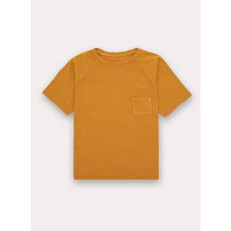 Fortela Vermont Raglan Jersey T-Shirt in Mustard at Nordstrom, Size X-Large Eu