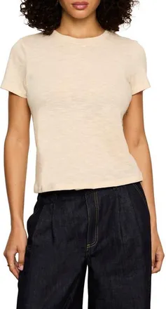Sanctuary Icon T-Shirt in Wax Paper White at Nordstrom, Size X-Large