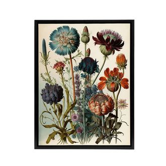 Artery8 Ernst Haeckel Inspired Vintage Botanical Framed Canvas Wall Art Print | Size: W24 x H32