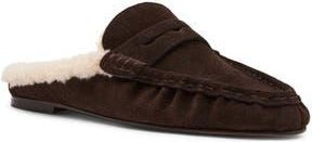 Steve Madden Rafe Faux Shearling Lined Mule in Chocolate Brown Suede at Nordstrom Rack, Size 7.5
