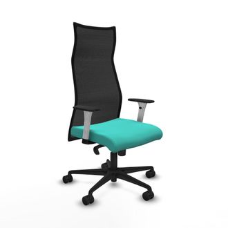 Piqueras y Crespo Silla De Oficina Albacete Piqueras Y Crespo B1b036n Turquesa
