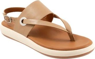 Softwalk Joliet Slingback Sandal in Beige at Nordstrom, Size 10.5