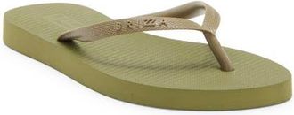 Arezzo Brizza Flip Flop in Olive Green at Nordstrom, Size X-Large