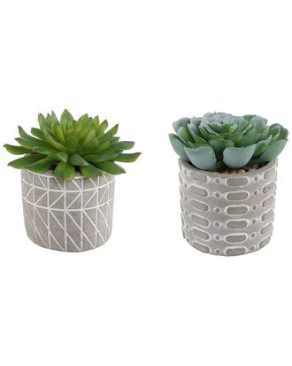 Flora Bunda Set Of 2 Succulents In Pattern Cement Pots
