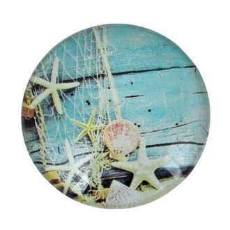Beachcombers 2 Glass Starfish On Boards Magnet in Blue at Nordstrom