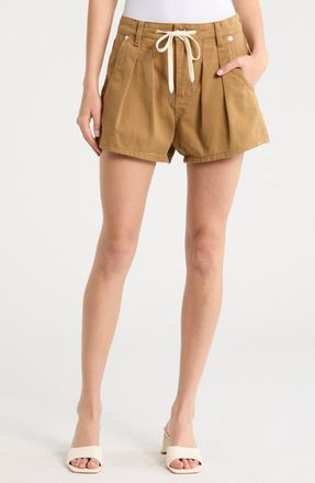 Blank NYC Drawstring Waist Pleated Cotton Twill Shorts in Iced Tea at Nordstrom, Size 24