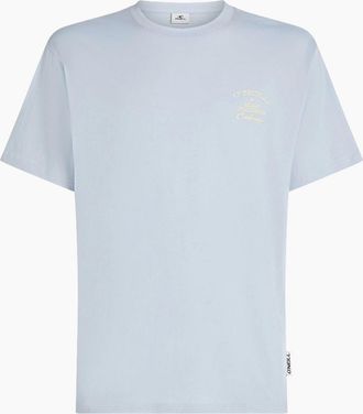 O'Neill Mens ONeill Mens Beach Chest Print Short Sleeve T-Shirt - Blue - Size: 42