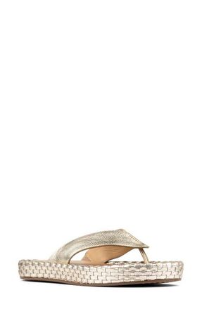 Donald J Pliner Dasara Platform Flip Flop in Platino at Nordstrom, Size 7.5