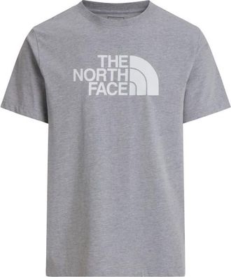The North Face Evolution Half Dome Short Sleeve T-Shirt f&uuml;r Herren | grau