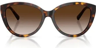 Tiffany & Co. 56mm Cat Eye Sunglasses in Havana /Brown Gradient at Nordstrom