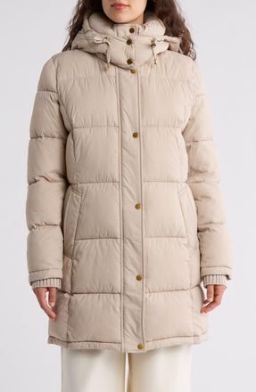 DKNY Hooded Ribbed Trim Puffer Jacket in Dark Taupe at Nordstrom, Size X-Small