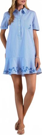 Current Air Striped Embroidered Mini Shirt Dress In Blue