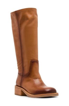 Steve Madden Rubi Knee High Boot in Cognac Leather at Nordstrom, Size 8.5