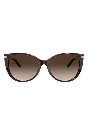 Tiffany & Co. 57mm Gradient Cat Eye Sunglasses in Havana/Brown Gradient at Nordstrom