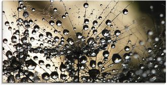 Artland Glasbild »Nasser Löwenzahn« 1 Stk. tlg. in verschiedenen Grössen