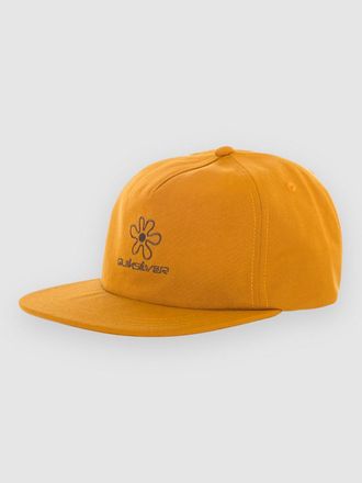 Quiksilver Lenny Cap braun