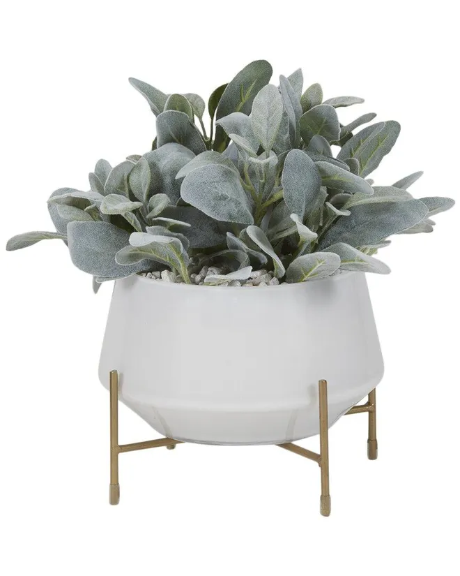 Lambs Ear In White Glass Bowl With Metal Stand