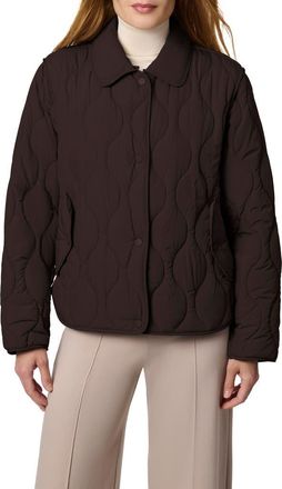 Bernardo Quilted Jacket in Seal Brown at Nordstrom, Size Xx-Large