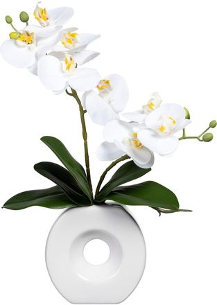 Creativ Green Kunstorchidee »Phalaenopsis« in Keramikvase