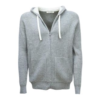 Luigi Bianchi Mantova Truien & Vesten, Heren, Grijs, M, Wol, Felpa in maglia con cappuccio