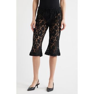 High Heel Jungle Isla Lace Capri Pants in Black at Nordstrom, Size X-Small