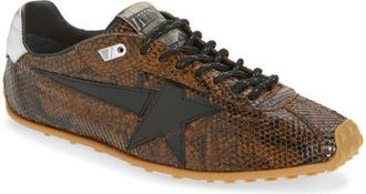 Golden Goose Marathon Speed Sneaker in Brown/silver at Nordstrom, Size 11Us