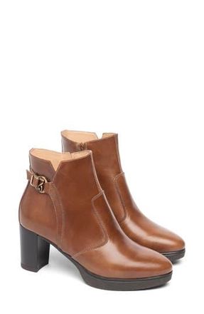 Nero Giardini Platform Bootie in Cognac at Nordstrom Rack, Size 9Us / 39Eu